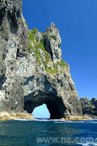 Cape Brett Hole in the Rock